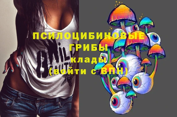шишки Кулебаки