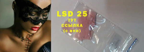 ECSTASY Кукмор