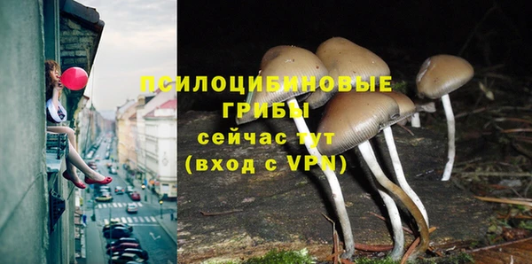 ECSTASY Кукмор