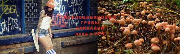 ECSTASY Кукмор