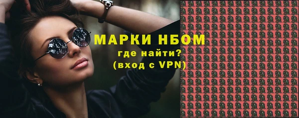 ECSTASY Кукмор