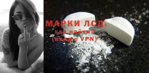ECSTASY Кукмор