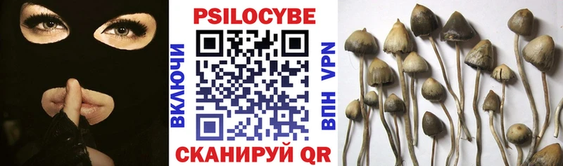 Псилоцибиновые грибы Psilocybine cubensis  hydra зеркало  Усть-Катав 